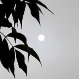 0510G 12 Sonne kommt 13Uhr